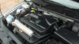 Czy warto kupić: używana Skoda Octavia (1996-2010)