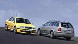 Czy warto kupić: używana Skoda Octavia (1996-2010)