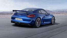 Porsche Cayman GT4 - alternatywa dla 911?