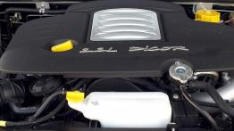 TATA Xenon Double Cab 2.2 DICOR 140KM 103kW 2008-2011