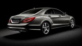 Mercedes CLS 2011 - widok z tyłu
