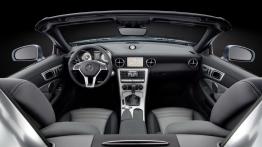 Mercedes SLK 2011 - pełny panel przedni