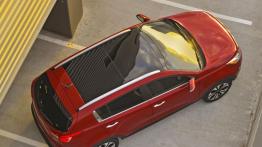 Kia Sportage SX 2011 - dach