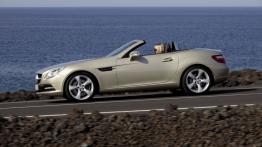 Mercedes SLK 2011 - lewy bok