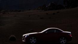 Mercedes SLK 2011 - lewy bok