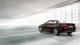 BMW serii 4 Cabriolet (2014) - widok z tyłu