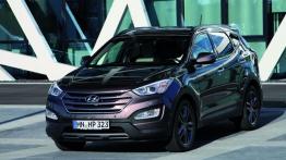 Hyundai Santa Fe III SUV 2.0 CRDi 150KM 110kW od 2012