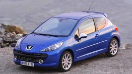 Peugeot 207 Hatchback 3d 1.6 HDi FAP 92KM 68kW 2010-2012