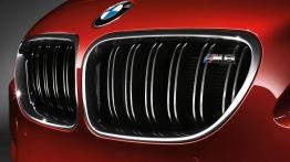 BMW M6 Coupe 2012 - grill