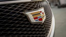 Cadillac Elmiraj Concept (2013) - logo