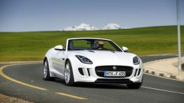 Jaguar F-Type V6 Polaris White (2013) - widok z przodu