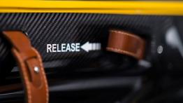 Aston Martin CC100 Speedster Concept (2013) - drzwi kierowcy od wewnątrz