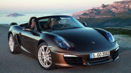 Porsche Boxster 2013 - widok z przodu
