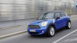 Mini Cooper Countryman ALL4 (2013) - widok z przodu