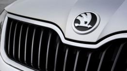 Skoda Rapid Spaceback (2013) - logo
