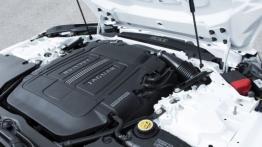 Jaguar F-Type V6 Polaris White (2013) - maska otwarta