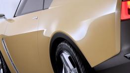 Nissan IDx Freeflow Concept (2013) - lewe tylne nadkole