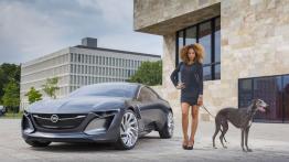 Opel Monza Concept (2013) - widok z przodu