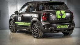 Mini Countryman JCW ALL4 Dakar 2013 - widok z tyłu