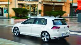 Volkswagen Golf VII GTI Hatchback 5d (2013) - lewy bok