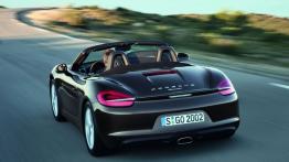 Porsche Boxster 2013 - widok z tyłu