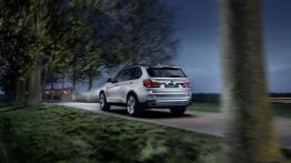 BMW X5 eDrive Concept (2013) - widok z tyłu