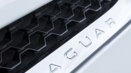 Jaguar F-Type V6 Polaris White (2013) - wlot powietrza