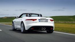 Jaguar F-Type V6 Polaris White (2013) - widok z tyłu