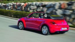 Volkswagen Beetle Cabrio 2013 - widok z tyłu