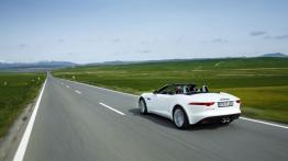 Jaguar F-Type V6 Polaris White (2013) - widok z tyłu