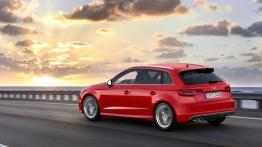 Audi S3 III Sportback (2013) - lewy bok