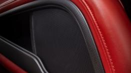 SRT Viper 2013 - głośnik w drzwiach przednich