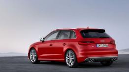Audi S3 III Sportback (2013) - widok z tyłu