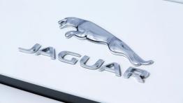 Jaguar F-Type V6 Polaris White (2013) - emblemat