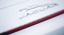 Jaguar F-Type V6 Polaris White (2013) - tył - inne ujęcie