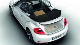 Volkswagen Beetle Cabrio 2013 - schemat konstrukcyjny auta
