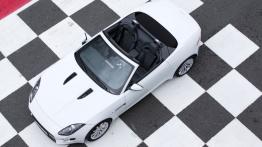 Jaguar F-Type V6 Polaris White (2013) - widok z góry