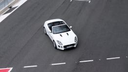 Jaguar F-Type V6 Polaris White (2013) - widok z góry