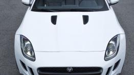 Jaguar F-Type V6 Polaris White (2013) - widok z góry