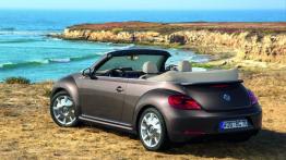 Volkswagen Beetle Cabrio 2013 - widok z tyłu