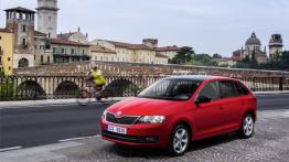 Skoda Rapid Spaceback (2013) - lewy bok