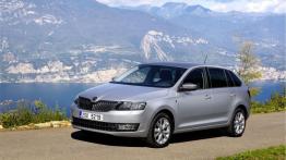 Skoda Rapid Spaceback (2013) - lewy bok