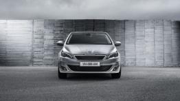 Peugeot 308 II (2014) - widok z przodu