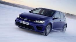 Volkswagen Golf VII R 5d (2014) - widok z przodu
