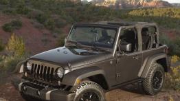 Jeep Wrangler Willys Wheeler Edition (2014) - widok z przodu
