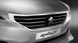 Peugeot Exalt Concept (2014) - grill