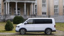 Volkswagen Multivan Alltrack Concept (2014) - lewy bok