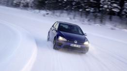 Volkswagen Golf VII R 5d (2014) - widok z przodu