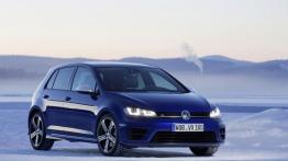 Volkswagen Golf VII R 5d (2014) - widok z przodu