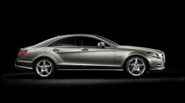 Mercedes CLS W218 Coupe 350 CDI BlueEFFICIENCY 265KM 195kW 2011-2014
